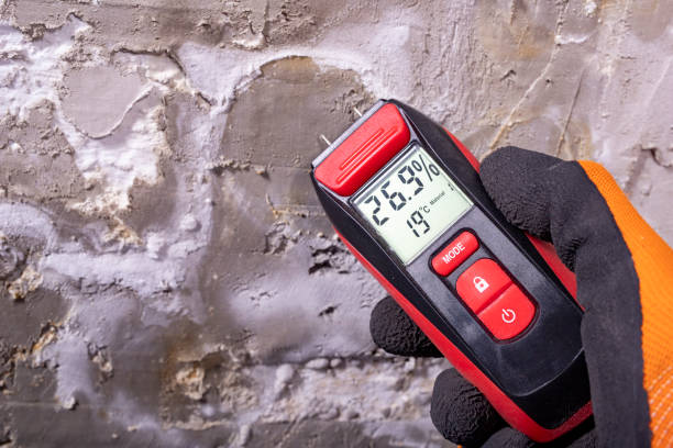 Best Mold Testing and Inspection Services in Copeland, OK
