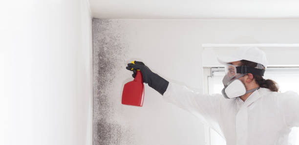 Best Mold Remediation for Specific Building Types in Copeland, OK