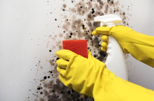 Best Post-Remediation Services in Copeland, OK
